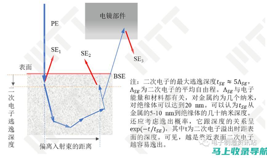 专家解读SEO综合查询：如何有效利用搜索引擎优化提高网站收益